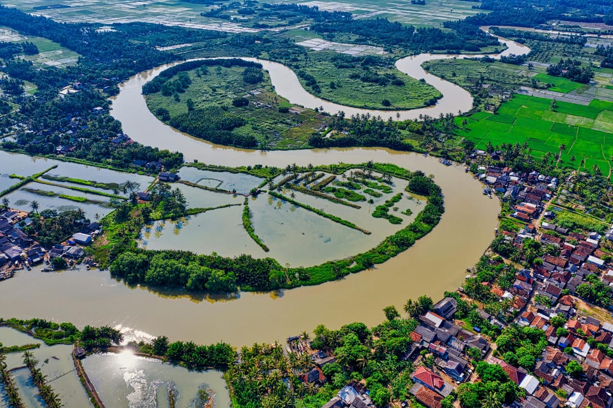 aerial view of river near houses and trees